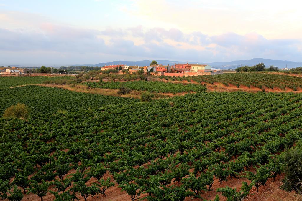 Mas Castell De Gimenelles Hotel Sant Jaume dels Domenys Exterior photo