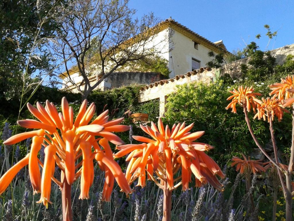 Mas Castell De Gimenelles Hotel Sant Jaume dels Domenys Exterior photo